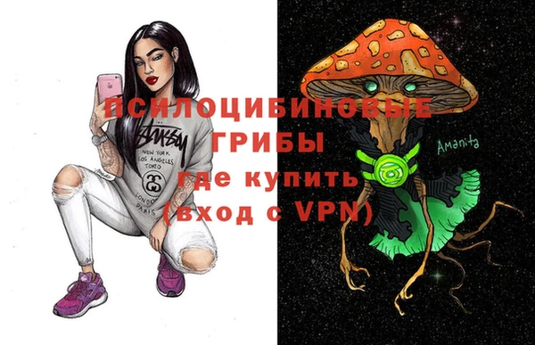 индика Беломорск