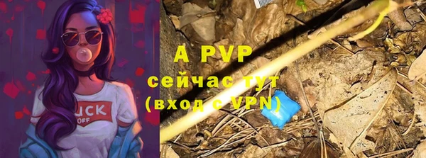 амф Белокуриха