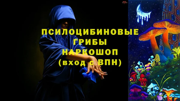 шишки Богородск