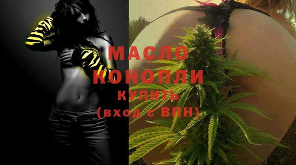 индика Беломорск