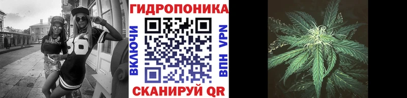 купить Кушва Бошки Шишки Amnesia